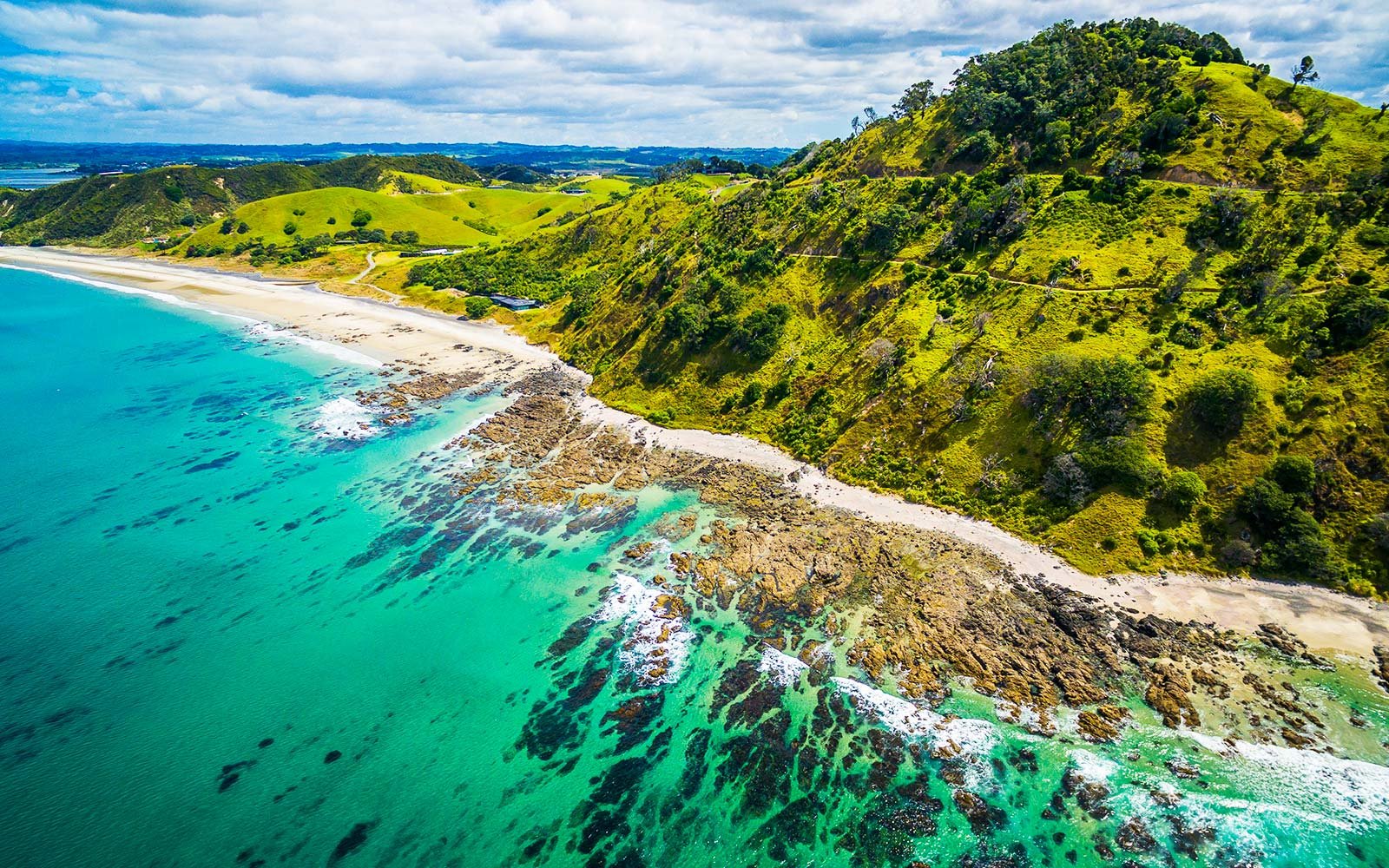 Zealandia: The Eighth Continent You Didn't Know Existed – GeologyHub